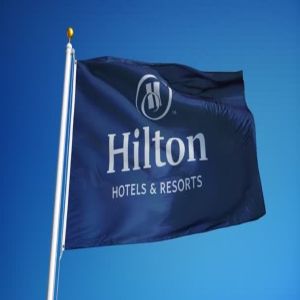 Hotel Logo Flags